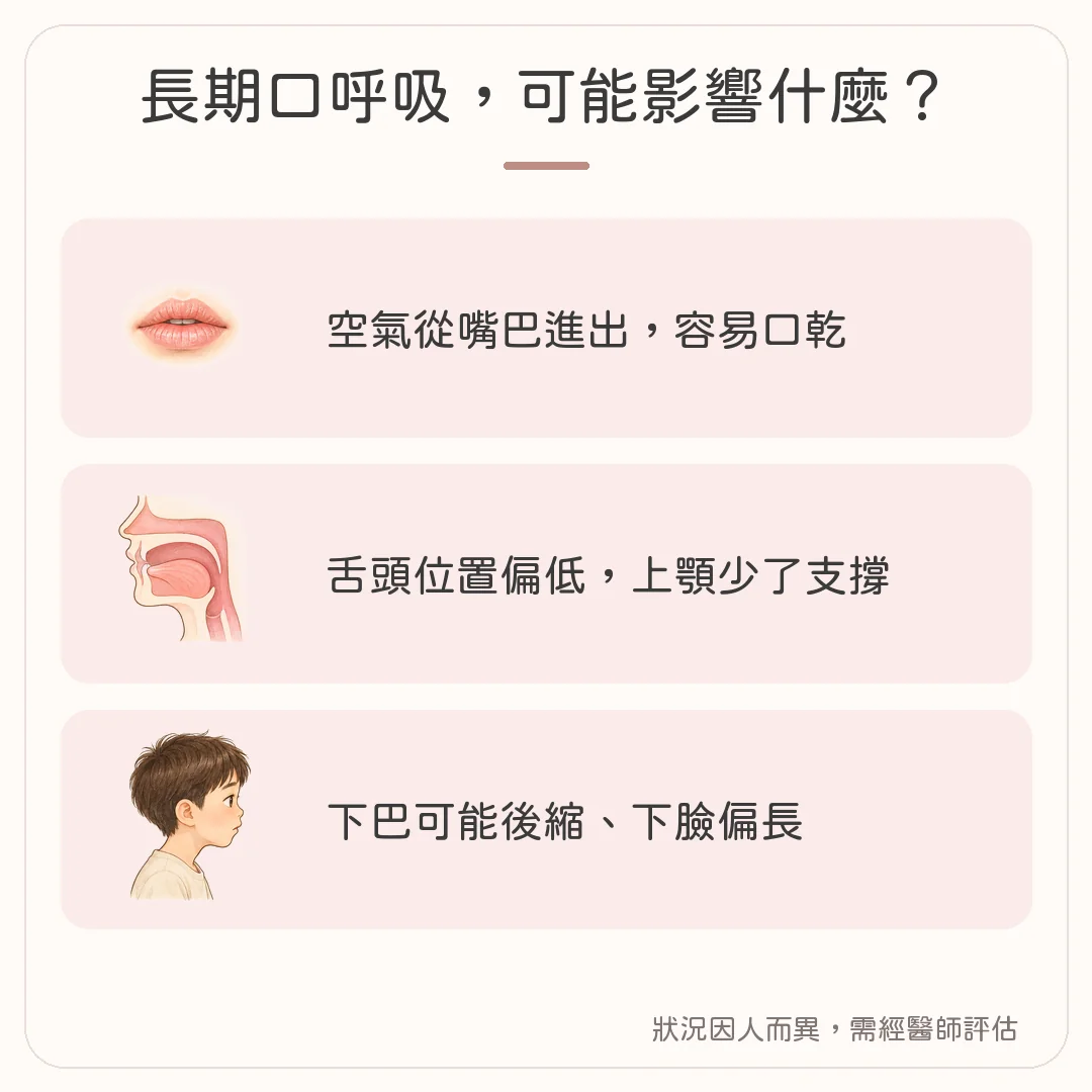 長期口呼吸可能的影響：口乾、舌頭位置偏低、下巴後縮與下臉偏長